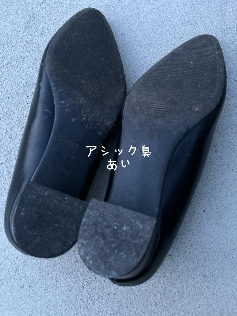 出品者名-写真-1
