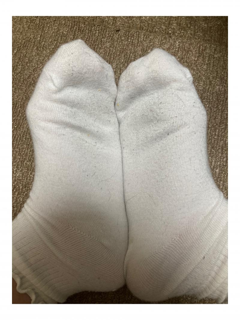 出品者名-写真