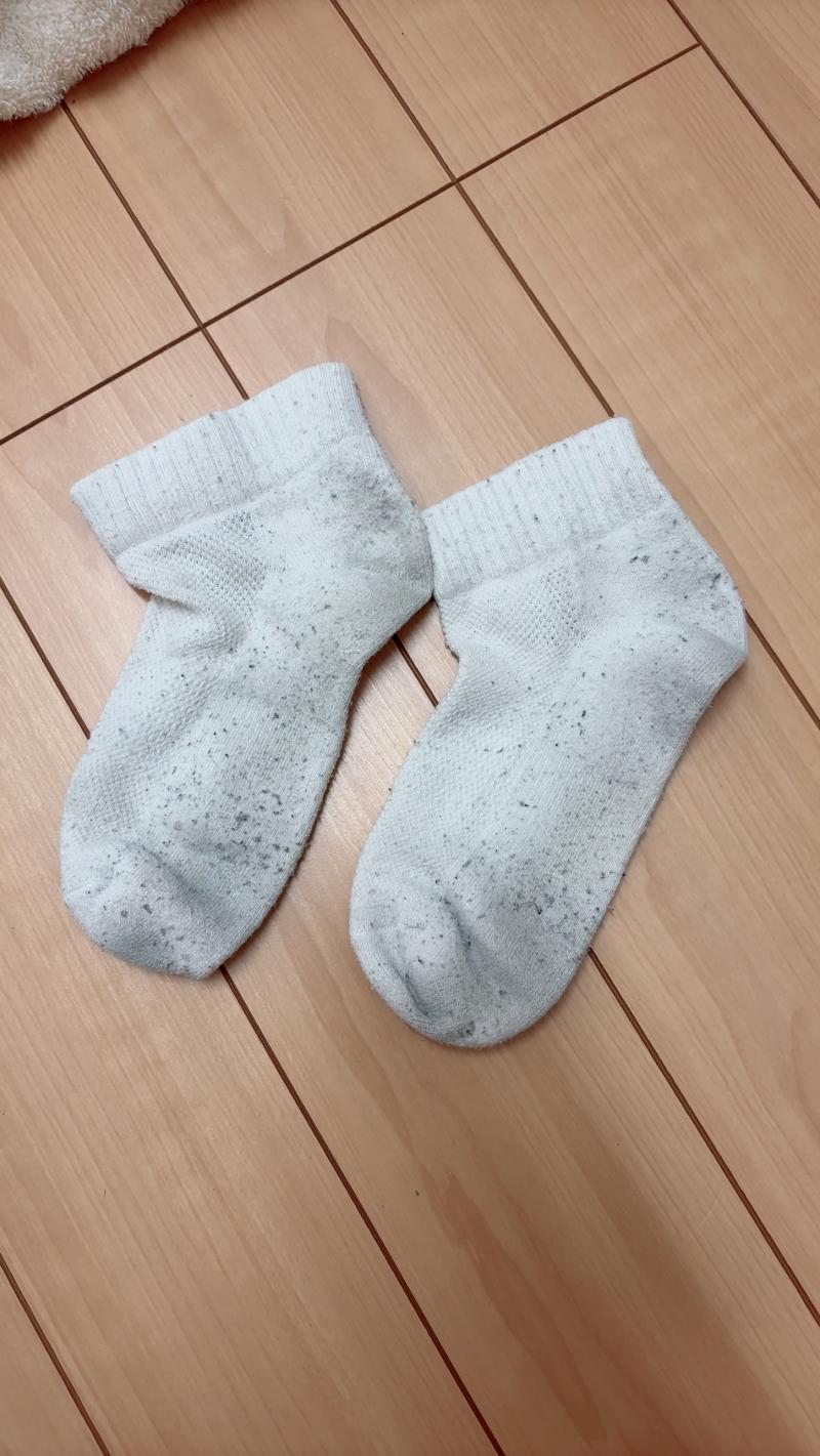 出品者名-写真-1