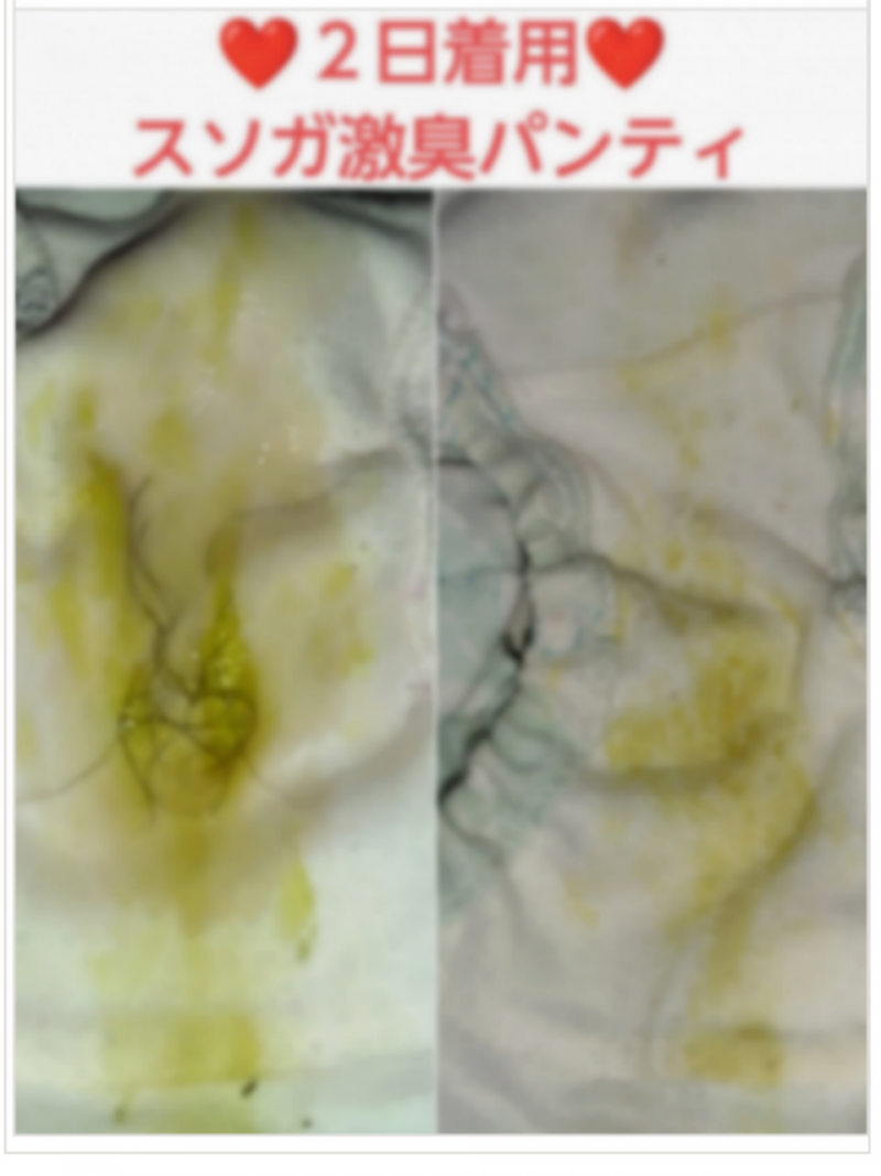 出品者名-写真