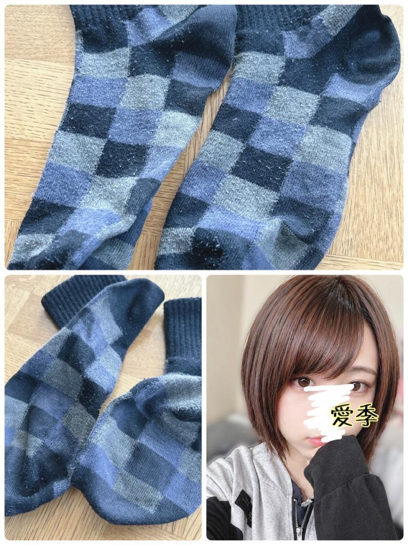 出品者名-写真