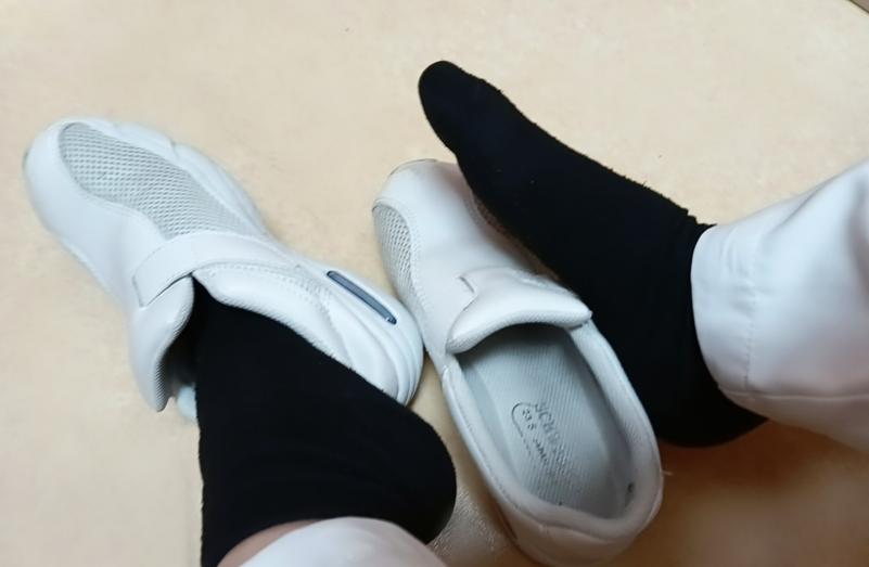出品者名-写真-1