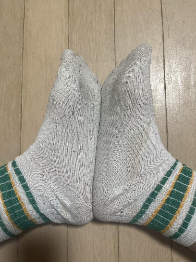 出品者名-写真