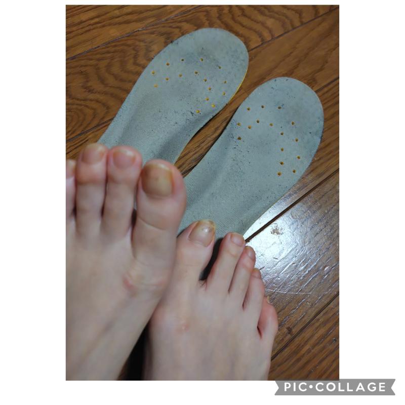 出品者名-写真-1