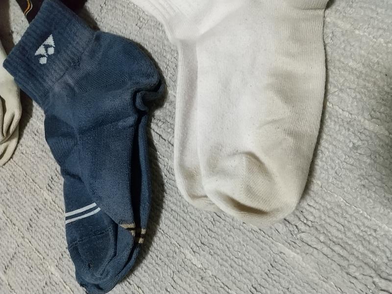 出品者名-写真-1
