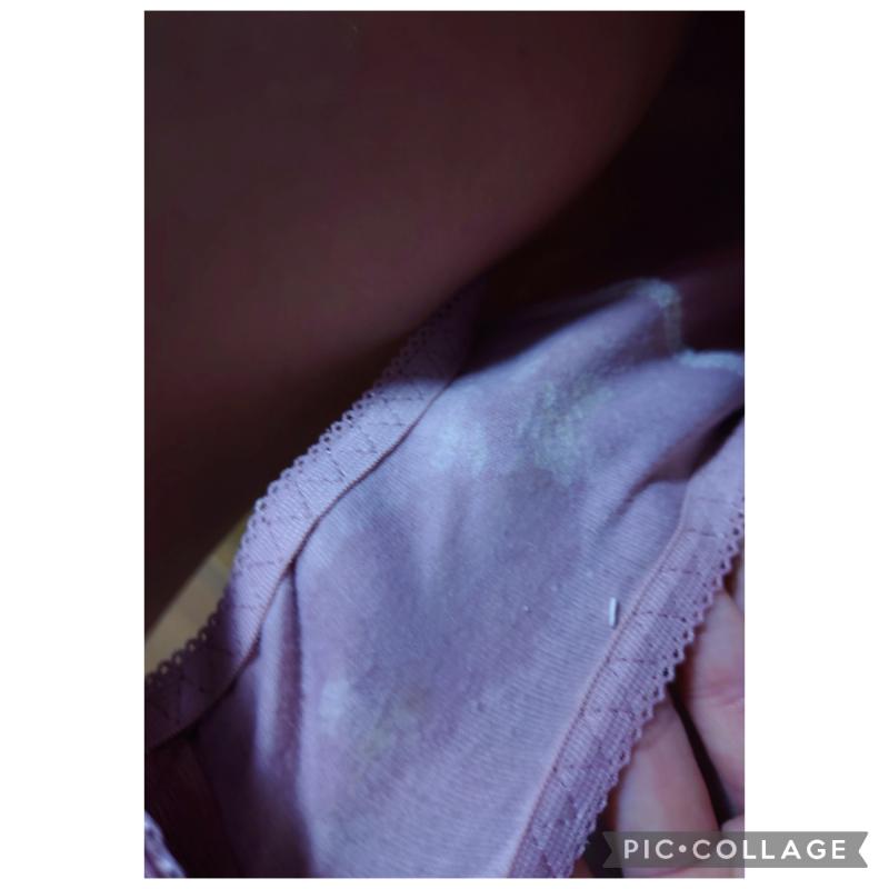 出品者名-写真