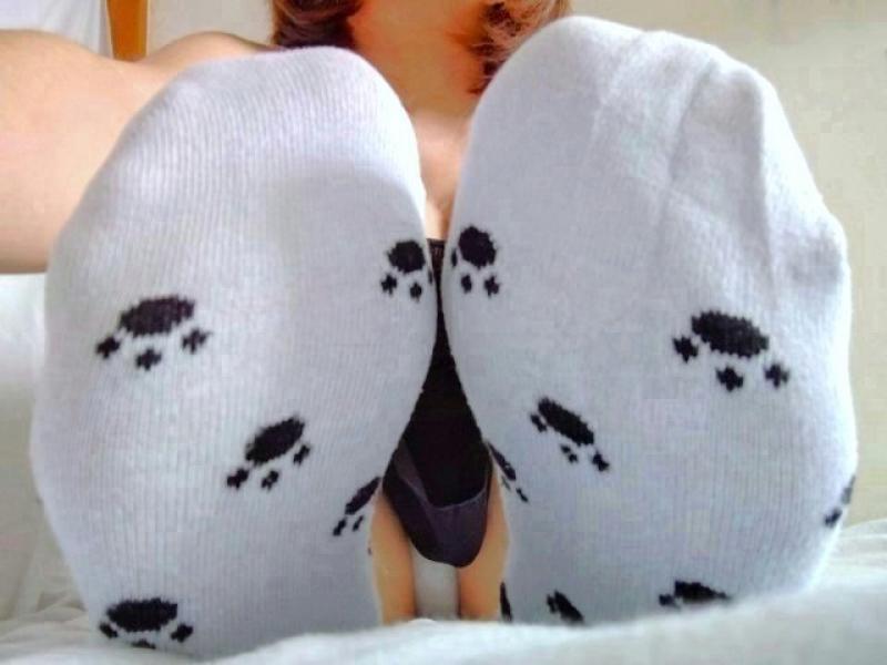 出品者名-写真