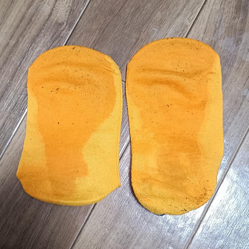 出品者名-写真