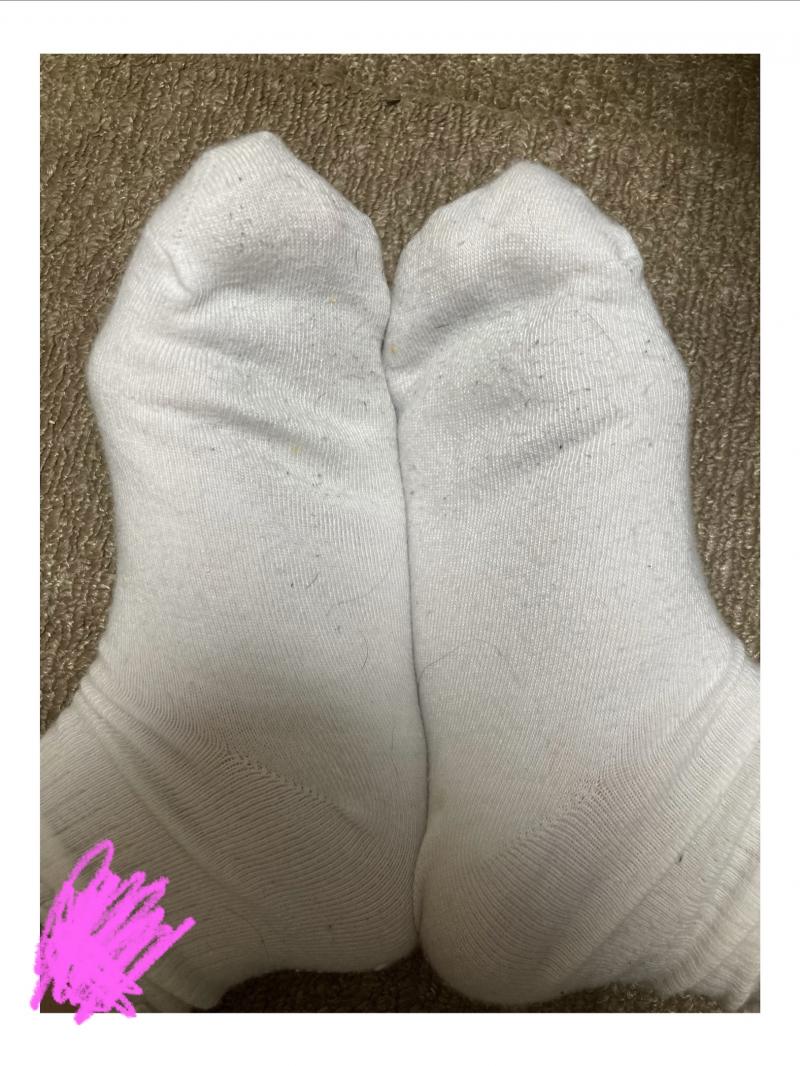 出品者名-写真
