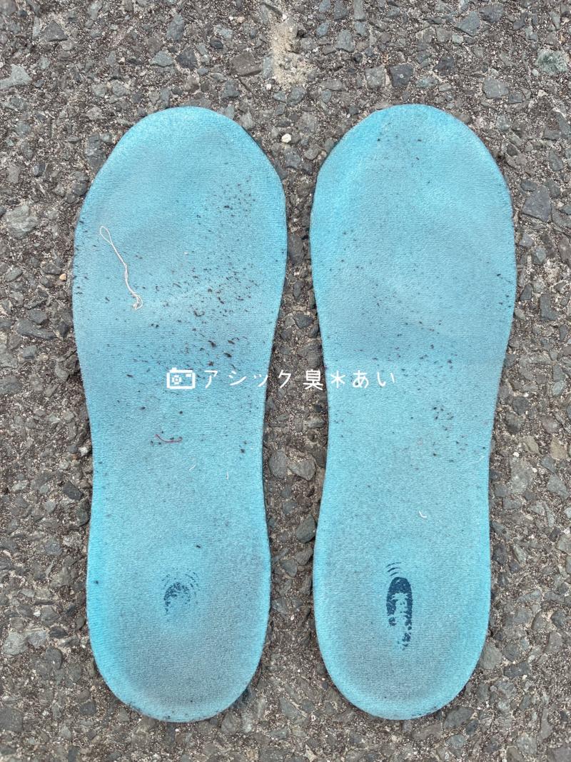出品者名-写真