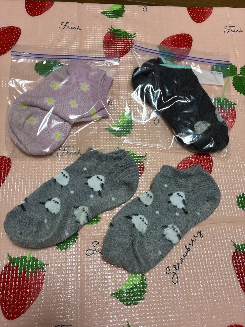 出品者名-写真
