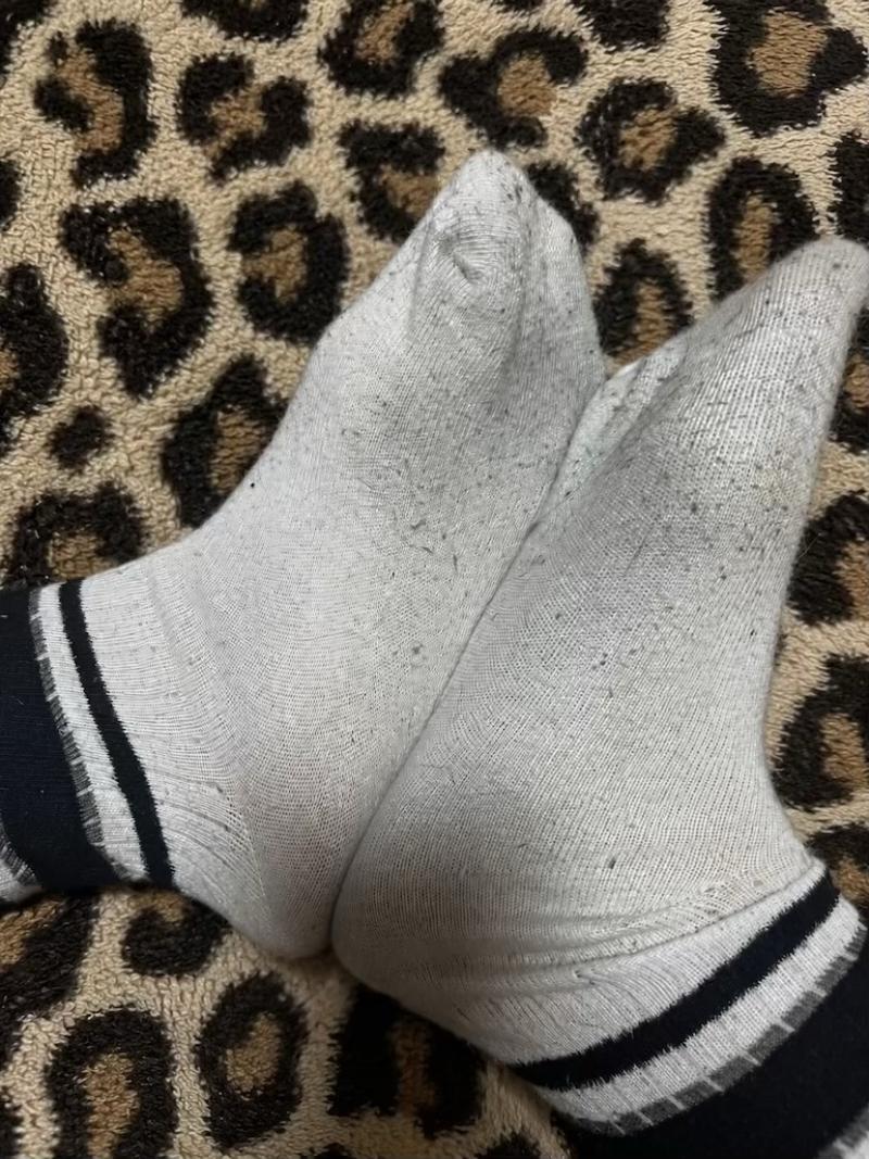 出品者名-写真