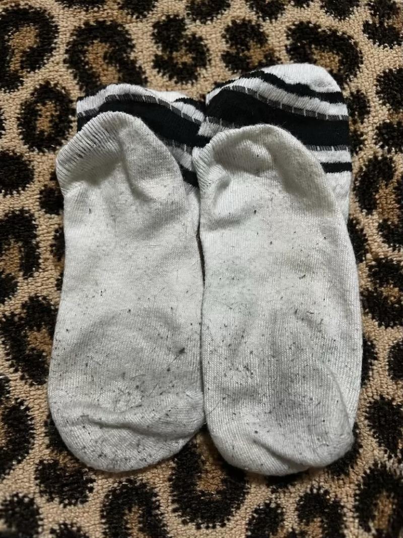 出品者名-写真-1