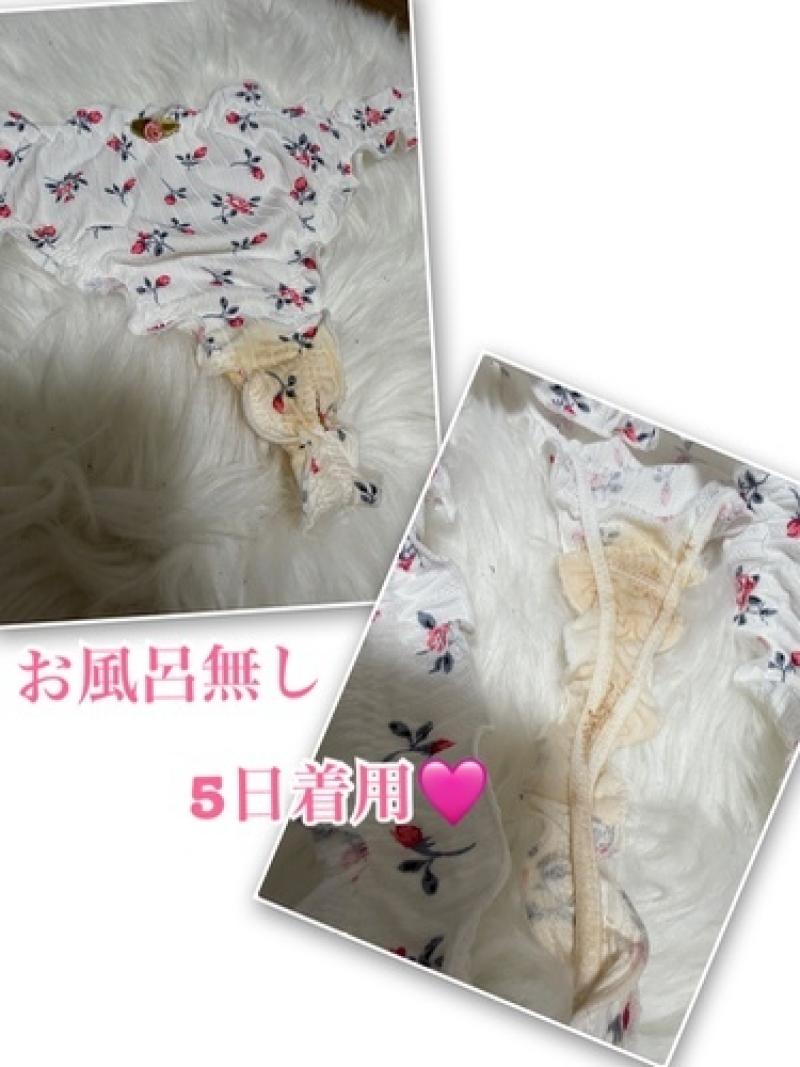 出品者名-写真