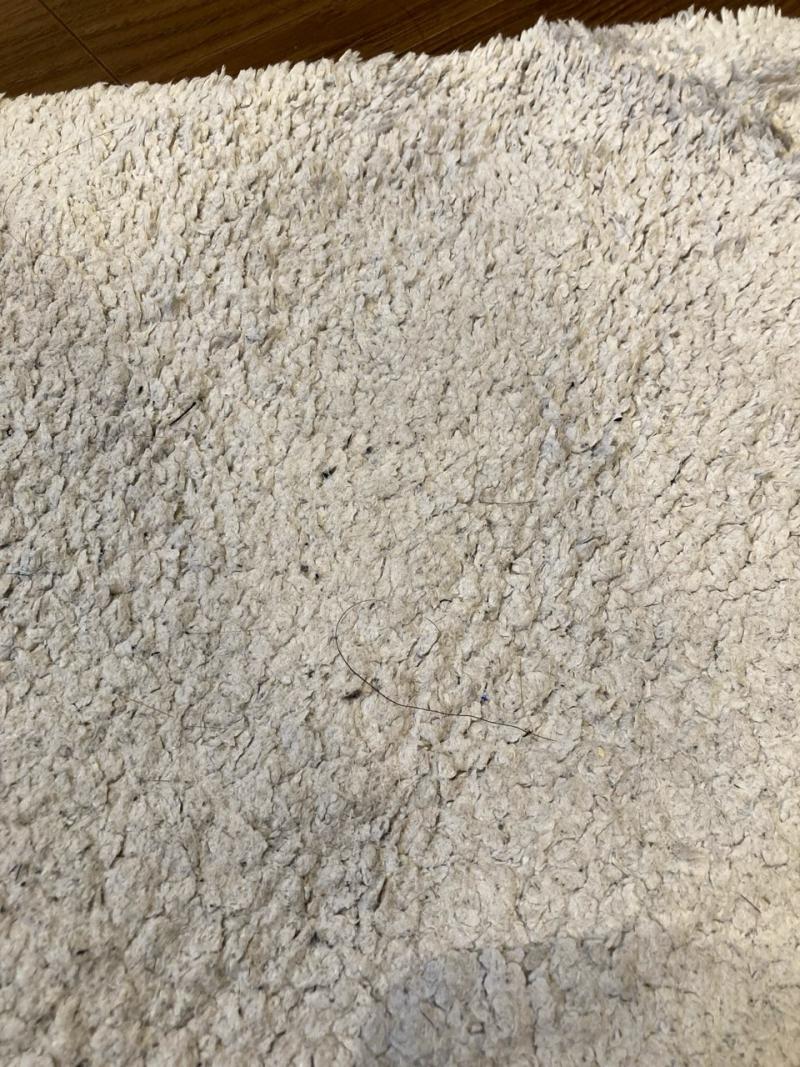 出品者名-写真-1