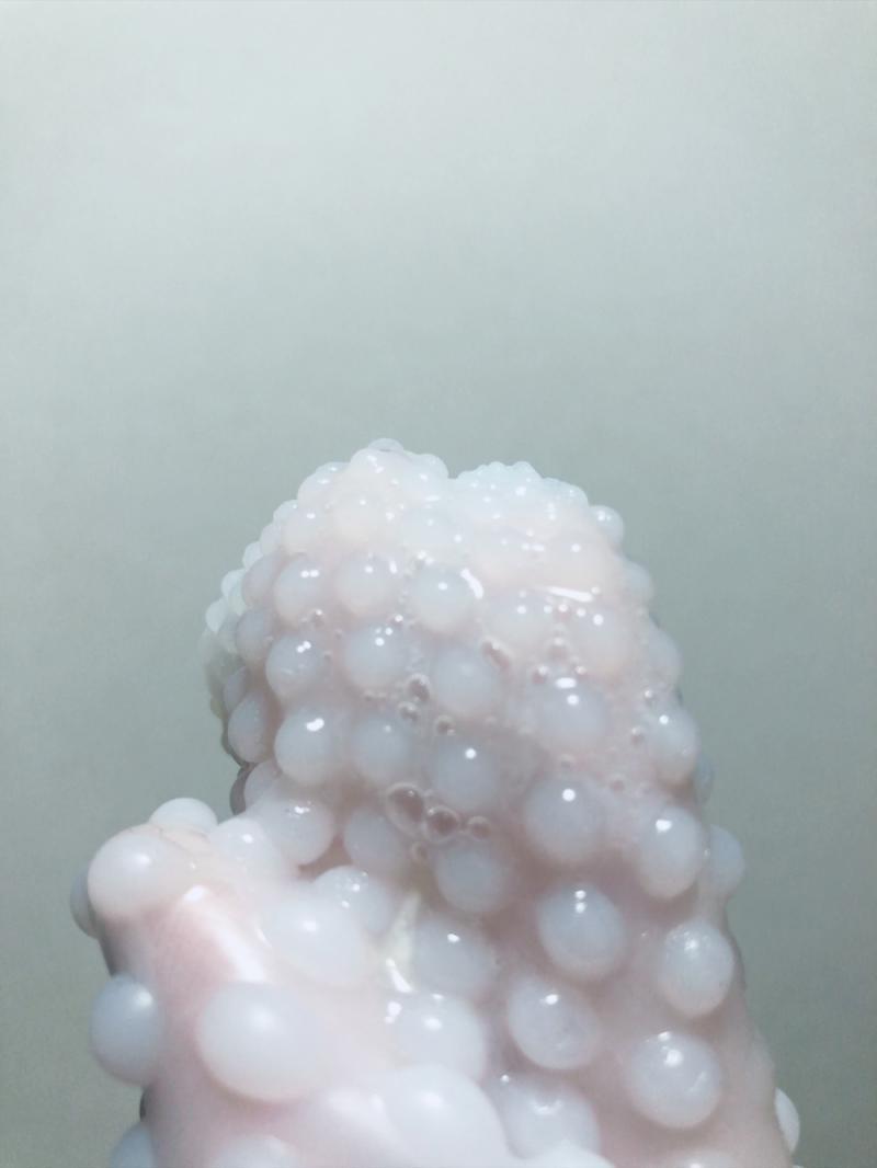 出品者名-写真-1