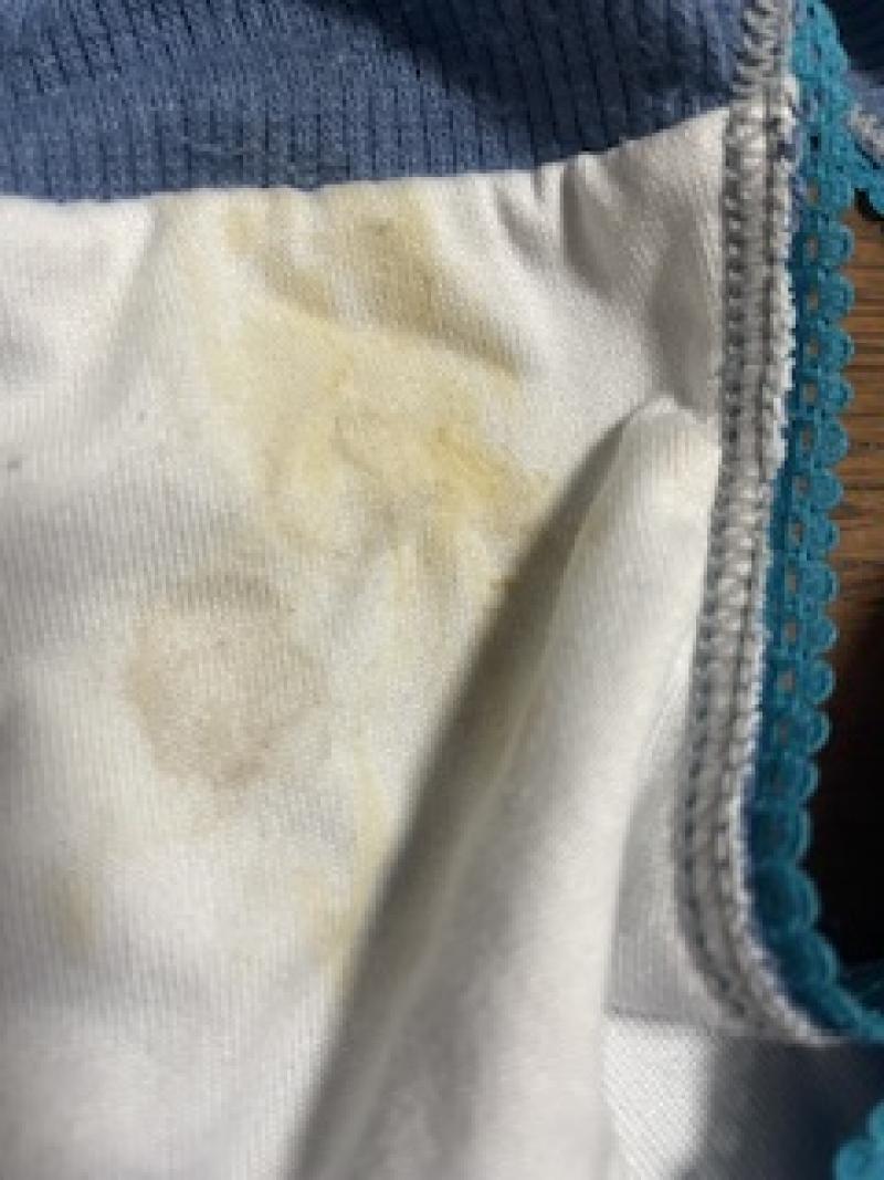 出品者名-写真-1
