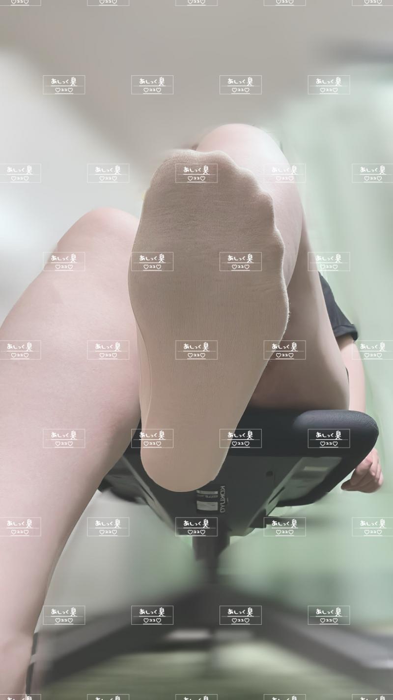 出品者名-写真-1