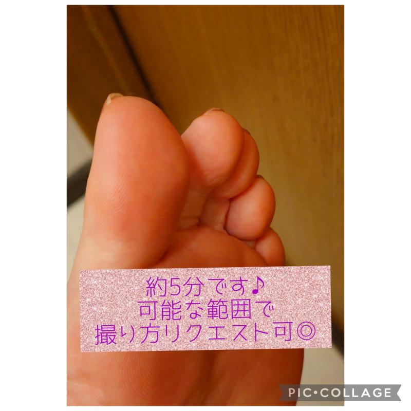 出品者名-写真-1