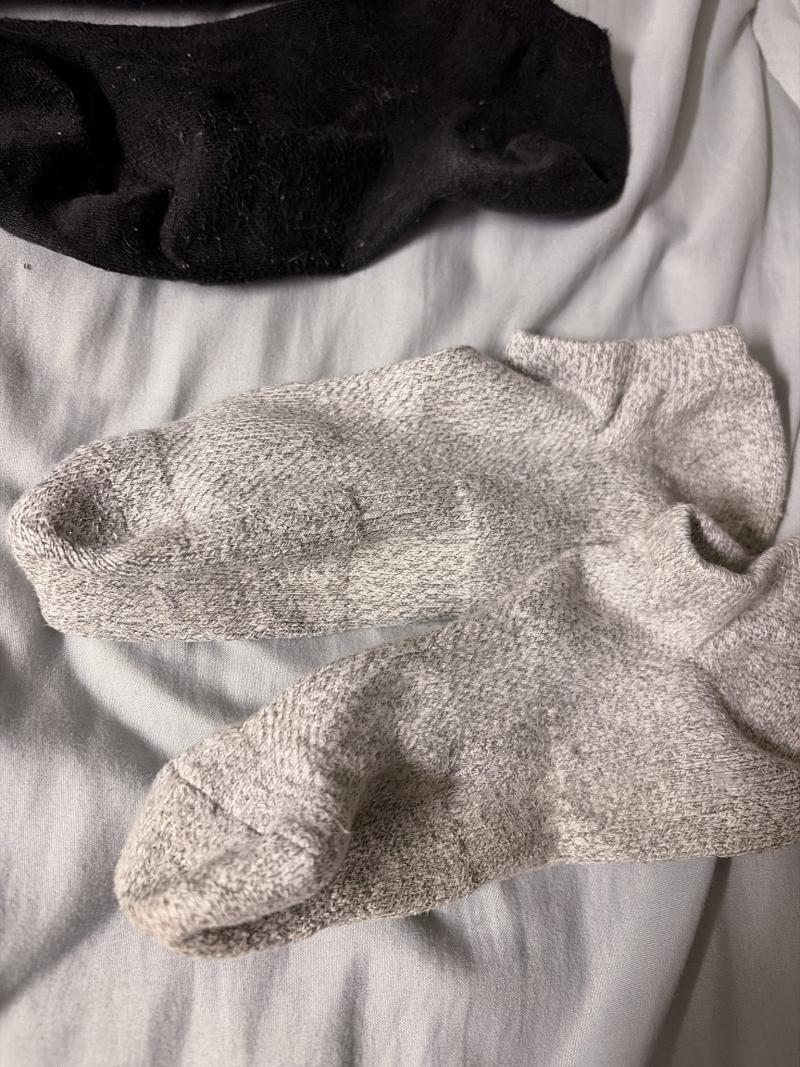出品者名-写真-1