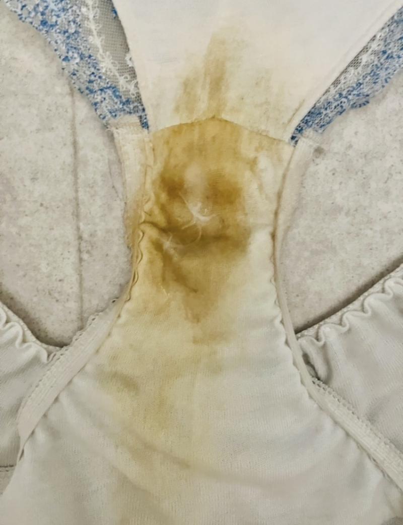 出品者名-写真-1