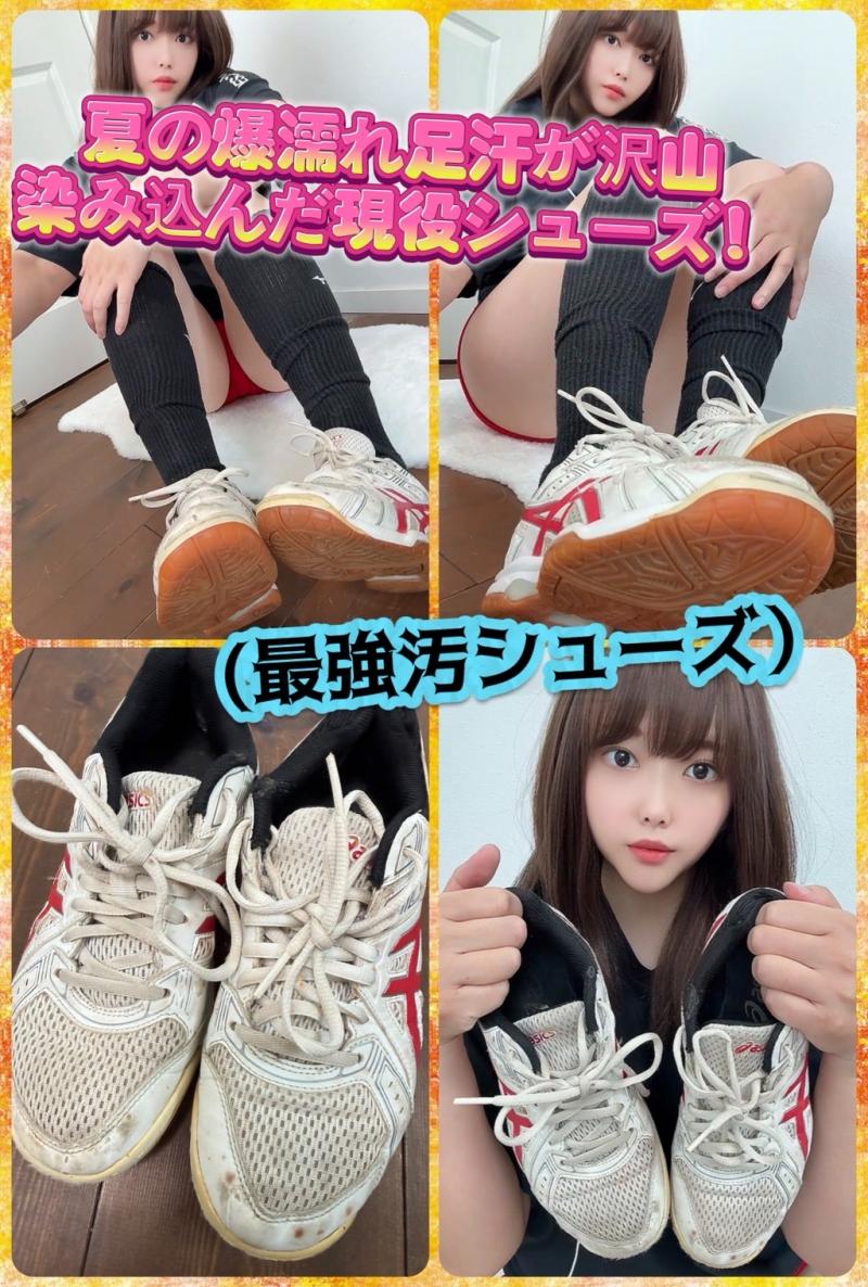 出品者名-写真