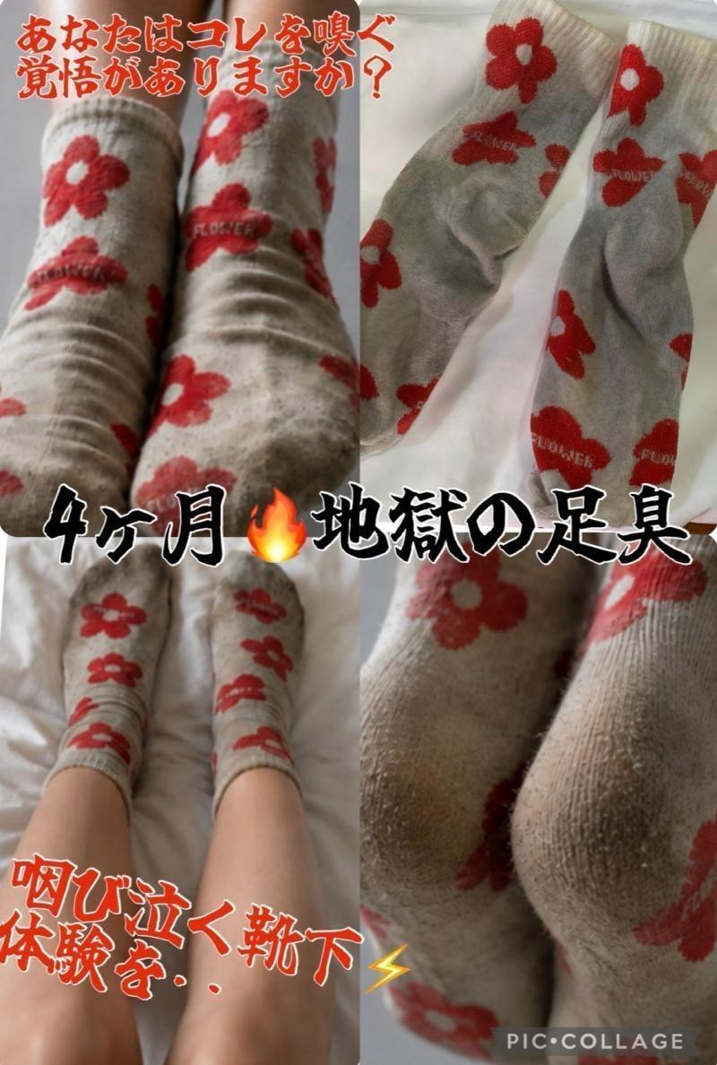 出品者名-写真-1