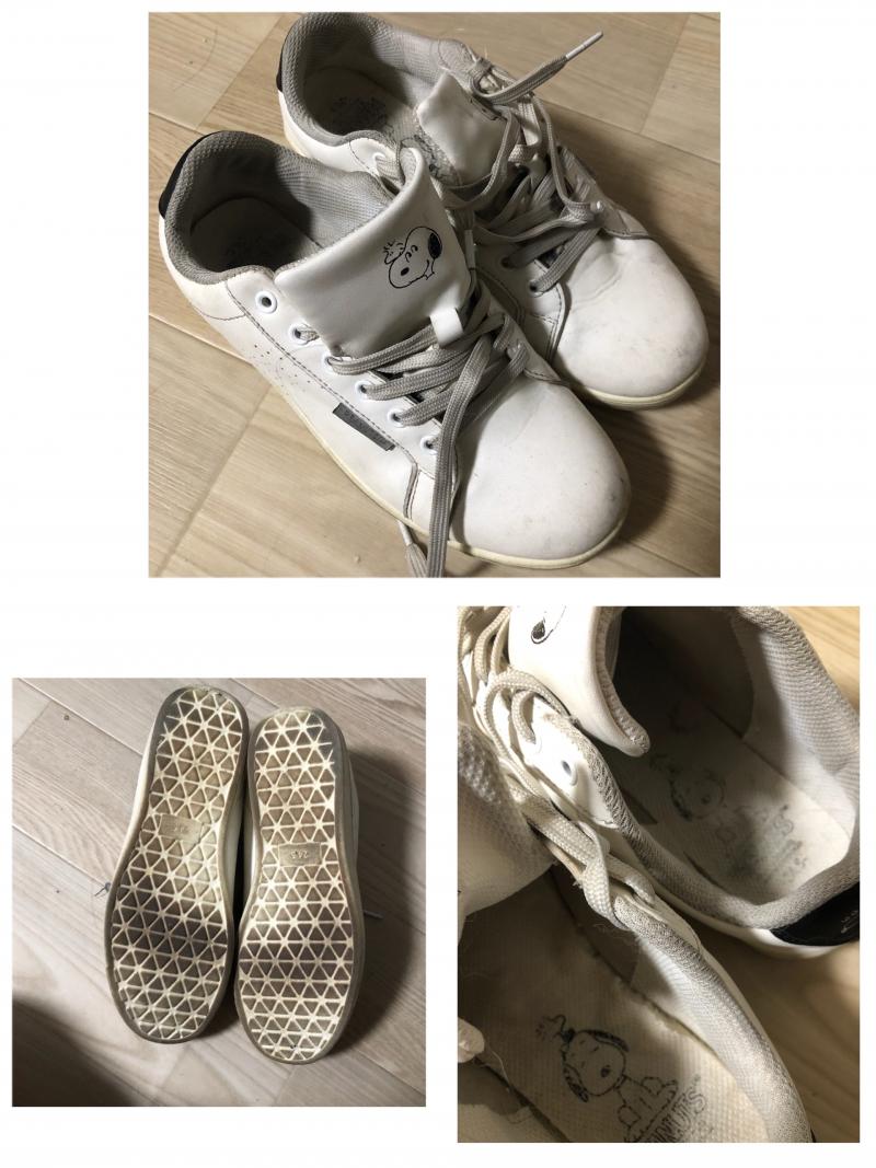 出品者名-写真-1