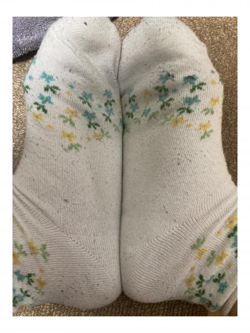 出品者名-写真
