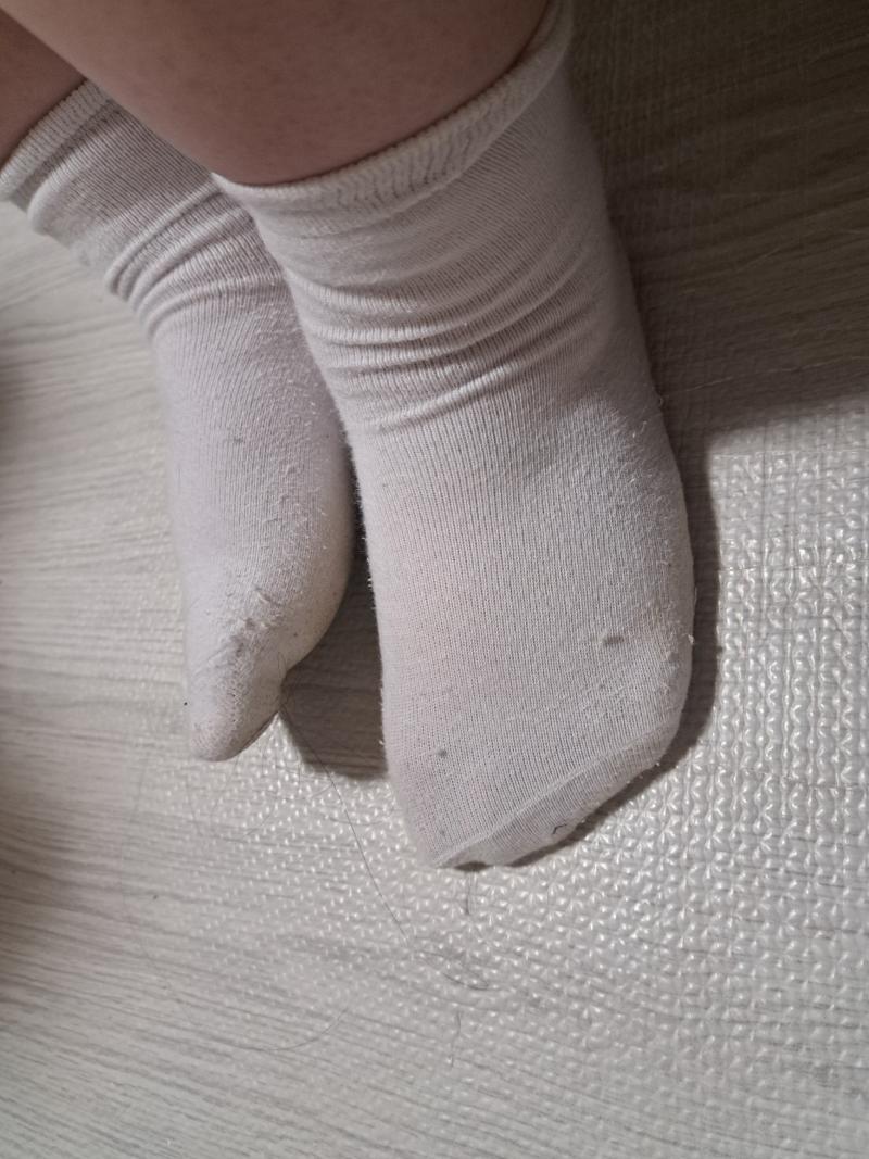 出品者名-写真-1
