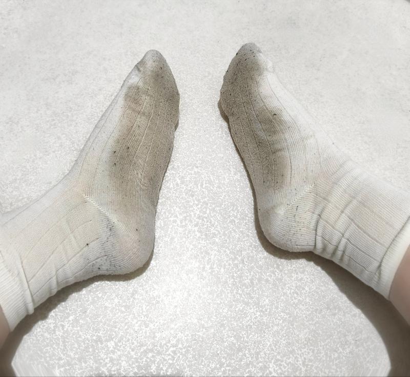 出品者名-写真-1