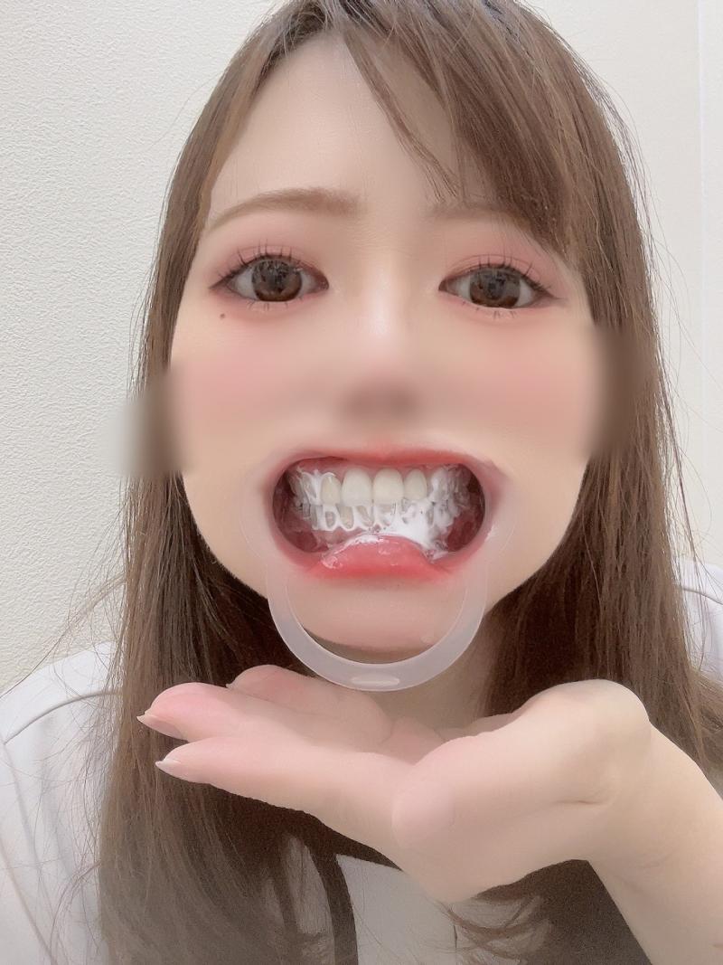 出品者名-写真-1