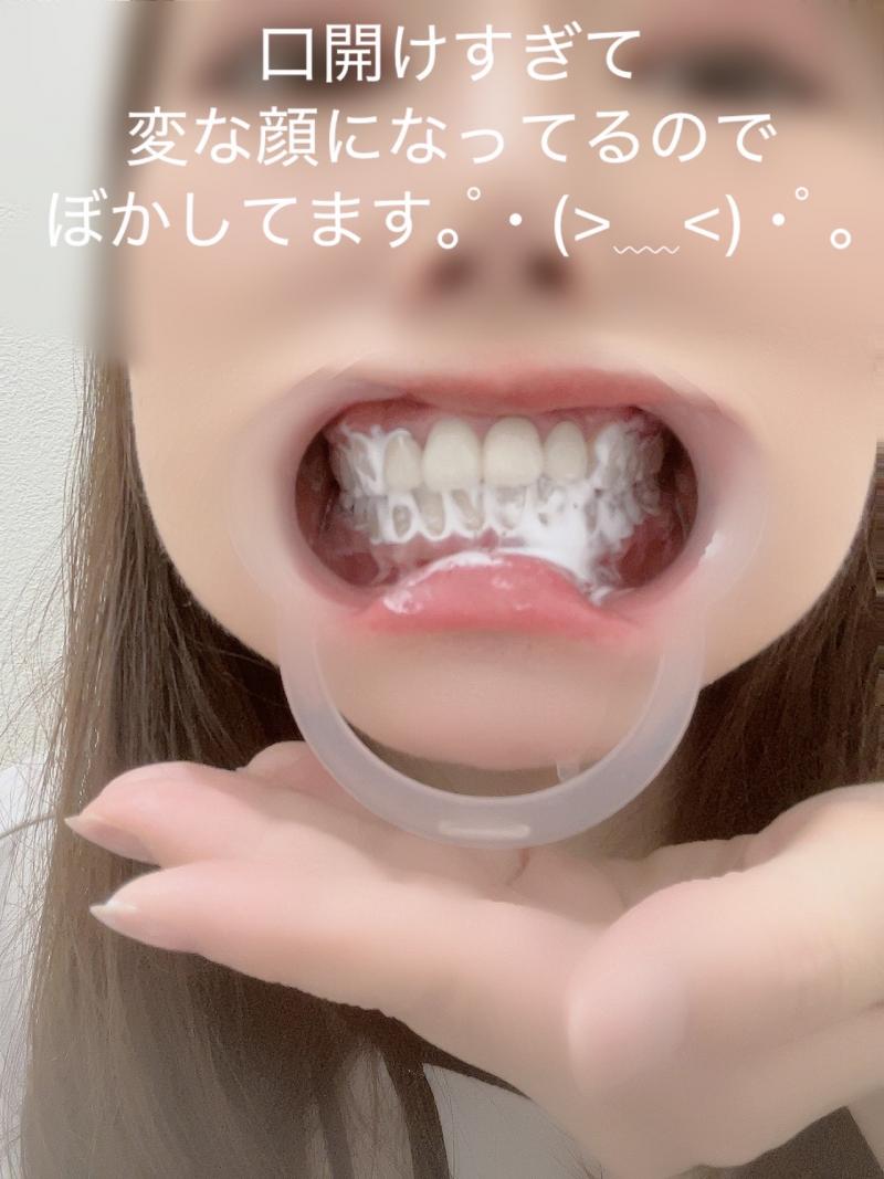 出品者名-写真-1
