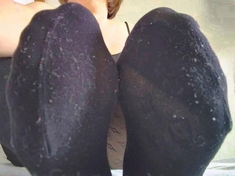 出品者名-写真-1