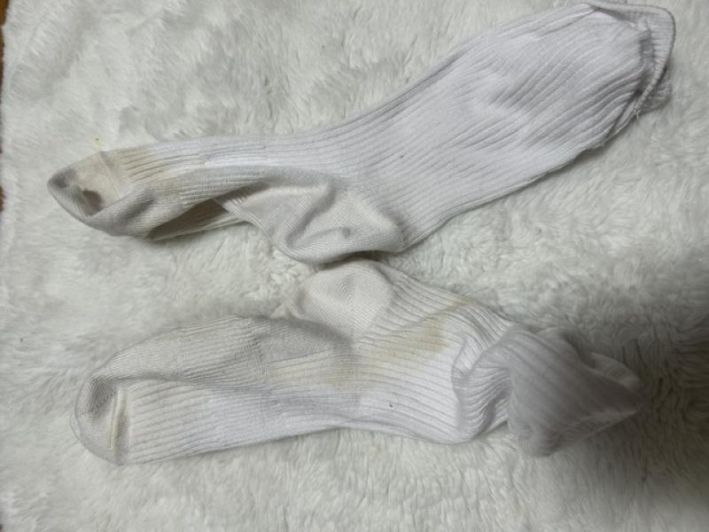 出品者名-写真