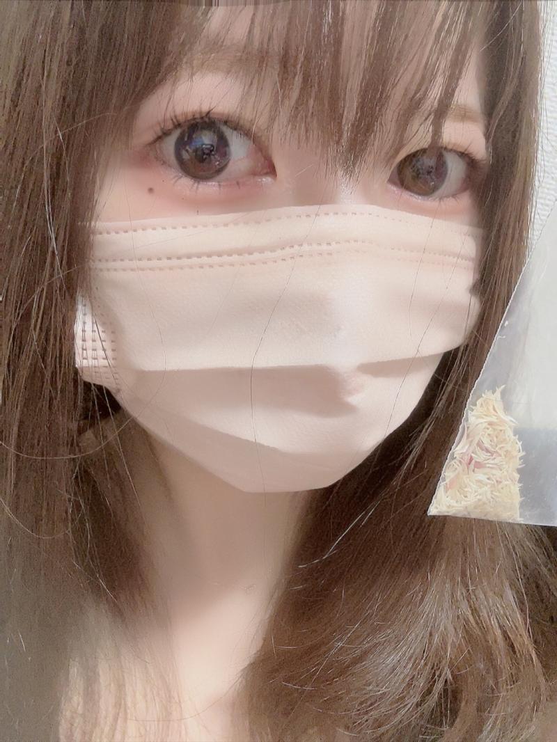 出品者名-写真