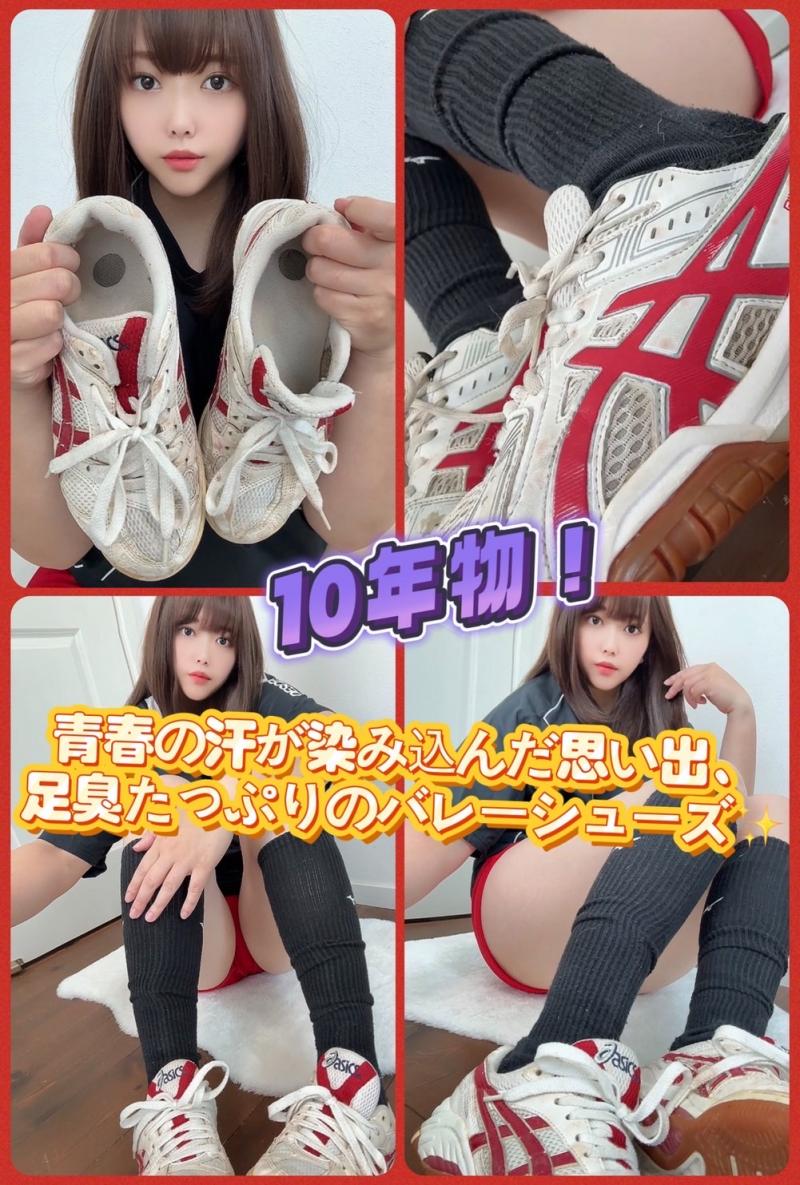 出品者名-写真