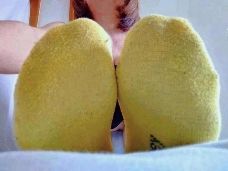 出品者名-写真