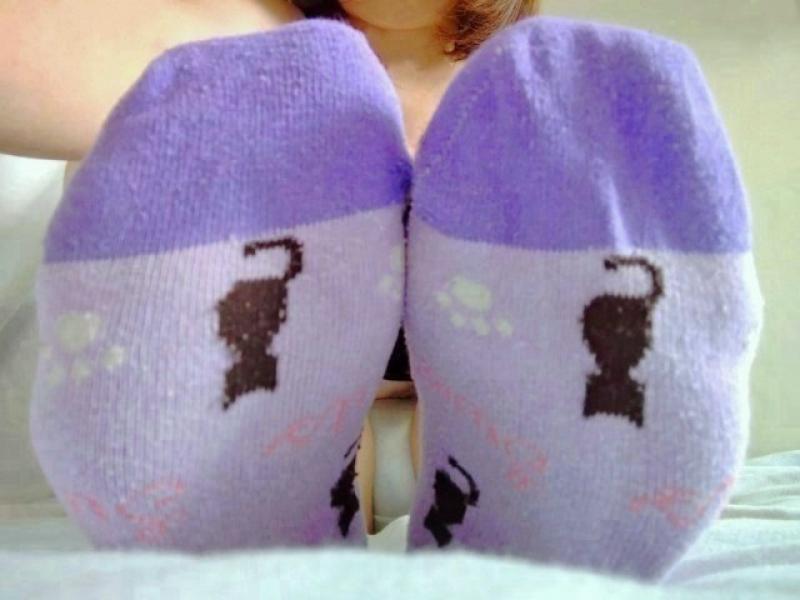 出品者名-写真