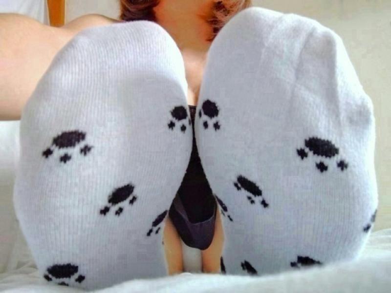 出品者名-写真