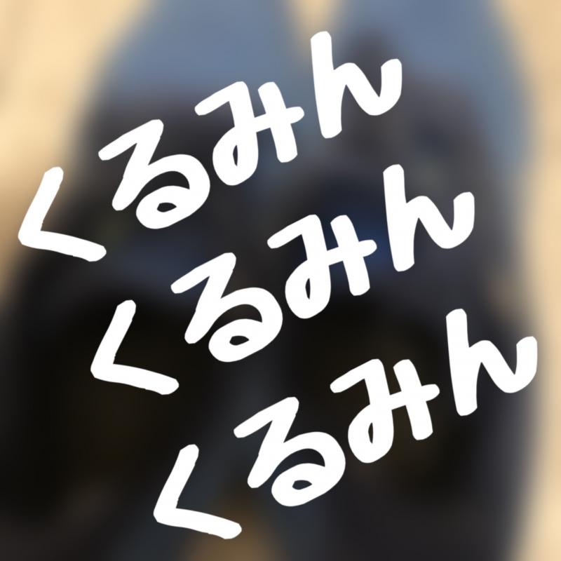 出品者名-写真