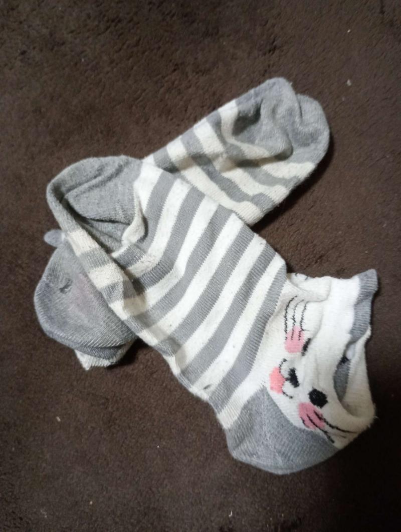 出品者名-写真