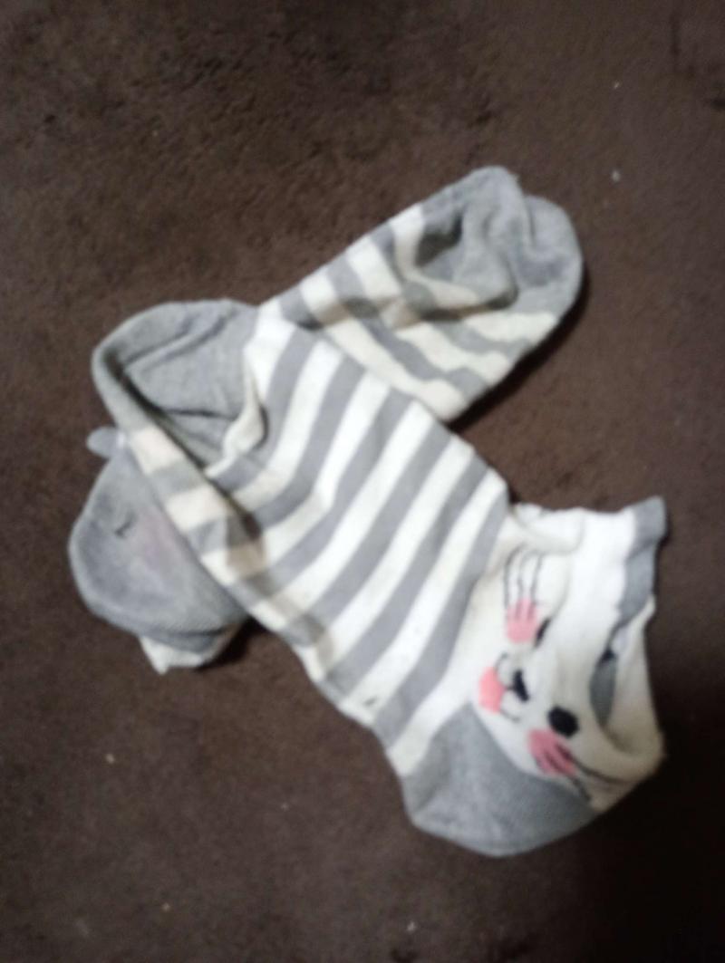出品者名-写真-1