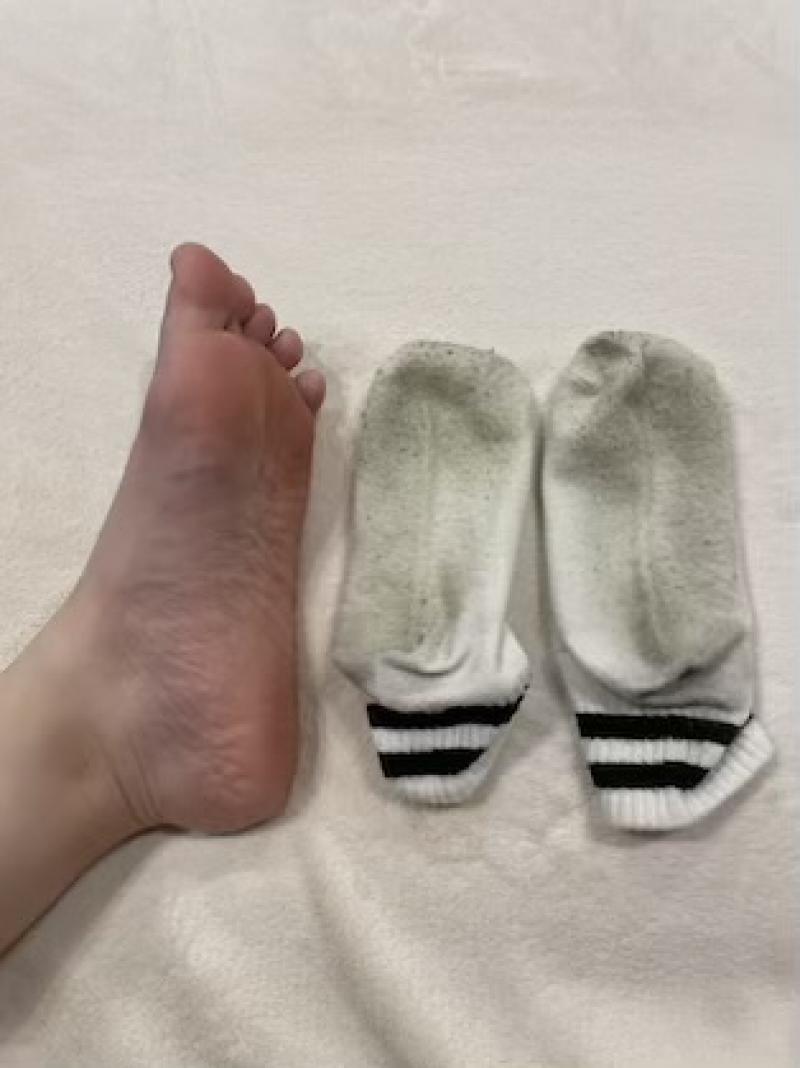 出品者名-写真