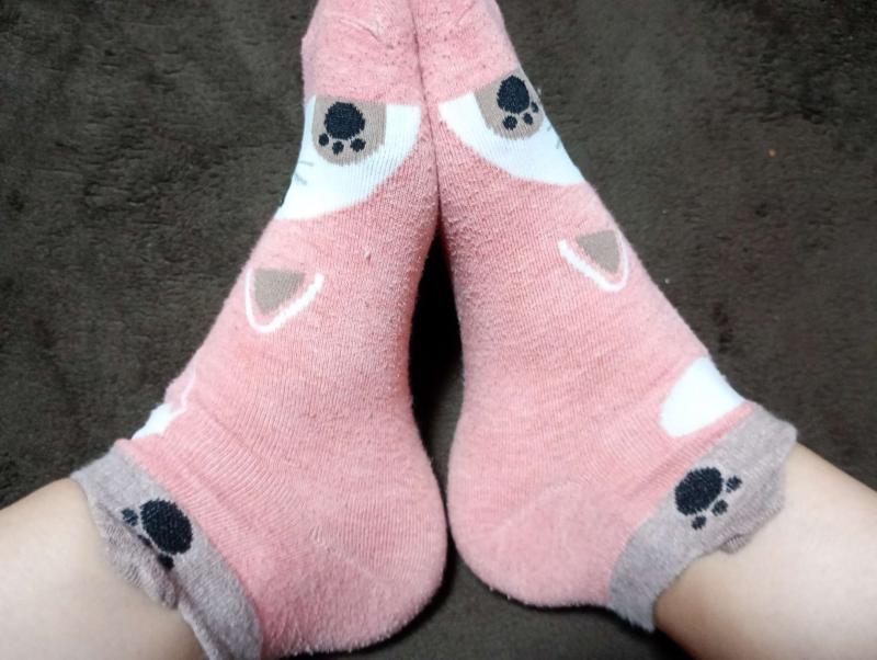 出品者名-写真-1