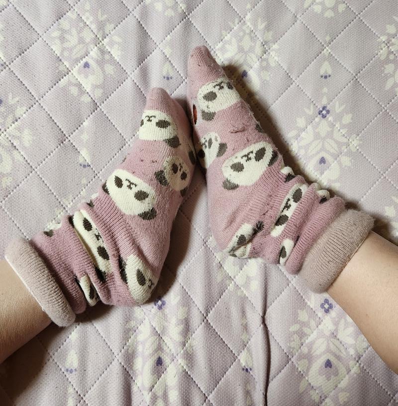 出品者名-写真