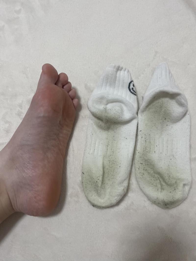 出品者名-写真