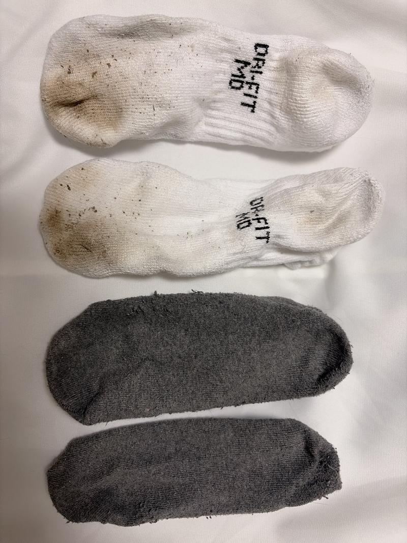 出品者名-写真