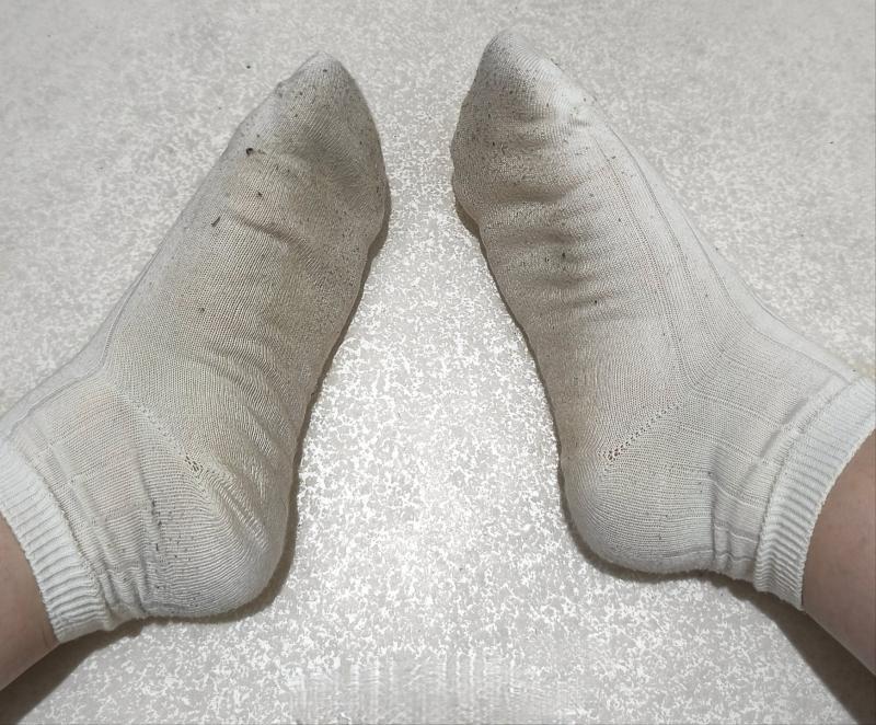 出品者名-写真-1