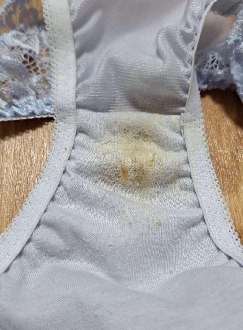 出品者名-写真-1